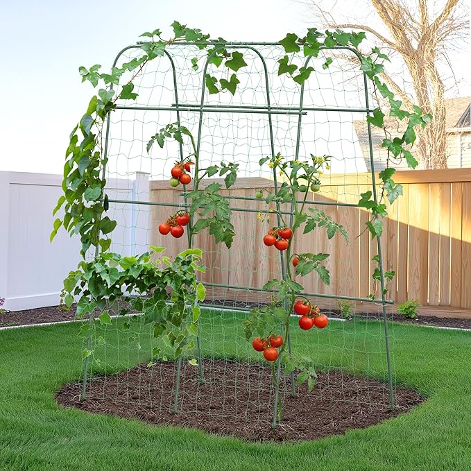 HIRALIY Cucumber Trellis for Climbing Plants Outdoor, 5.6ft Tall Heavy Duty Metal Garden Arch Trellis, Rustproof Plant Support Tunnel for Tomato, Grape, Bean, Raised Bed and Vegetable Gardens, Green