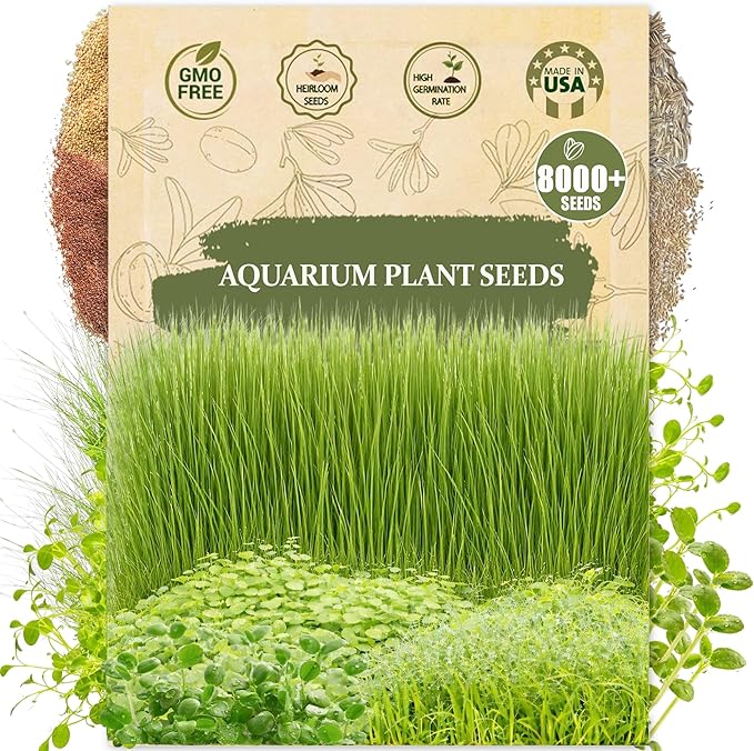 Premium Aquarium Plant Seeds for Planting – 8,000+ Live Mixed Seeds, 4 Varieties – Easy-to-Grow Aquatic Greenery for Lush, Vibrant Fish Tanks