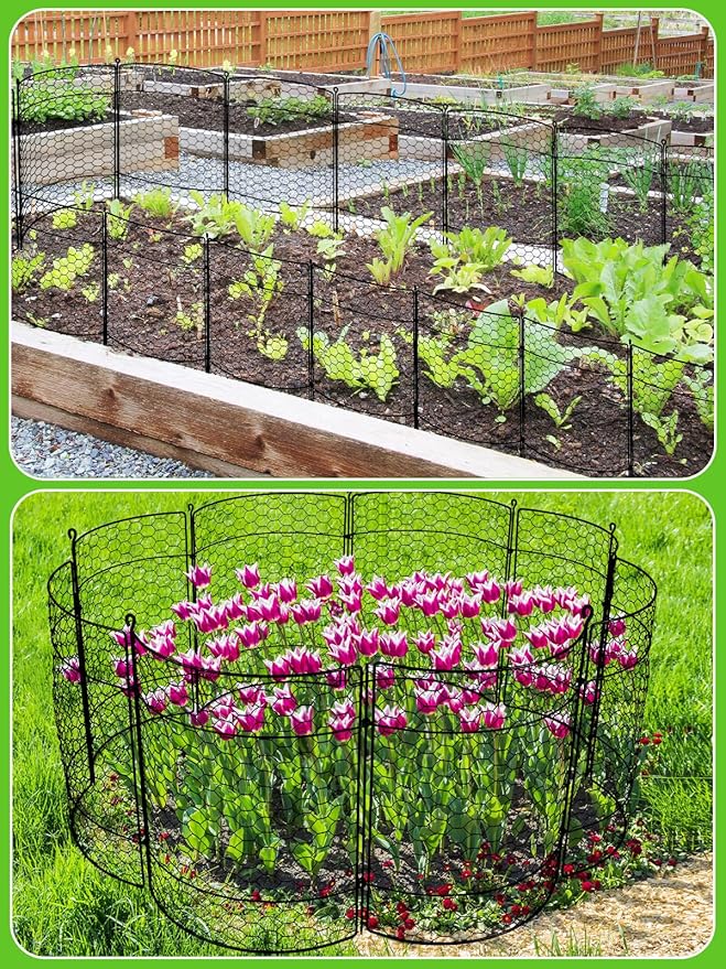 Kalolary 10 Packs Plant Protectors from Animals, 20'' x 14 Large Wire Plant Cage Metal Garden Plant Protection Chicken Wire Cloche with Stakes for Keeping Bunny Squirrels & Pets Out
