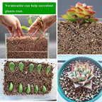 20QT Organic Vermiculite, Horticultural Vermiculite for Plants, Soil for Potted Plants, Vermiculite Coarse Hydroponic for Succulent Orchid Gardening