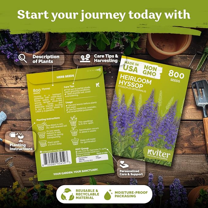 KVITER 800 Hyssop Seeds (Hyssopus Officinalis) - Syrian Oregano, Aromatic Medicinal Herb with Blue Flowers, Heirloom Seed Packets - Perennial Herb Seeds for Gardens, Containers & Outdoor Beds