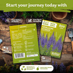 KVITER 800 Hyssop Seeds (Hyssopus Officinalis) - Syrian Oregano, Aromatic Medicinal Herb with Blue Flowers, Heirloom Seed Packets - Perennial Herb Seeds for Gardens, Containers & Outdoor Beds