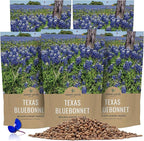 Bulk Texas Bluebonnet Wildflower Seeds - 5 Pounds - Over 80,000 Native Seeds - Texas State Flower!