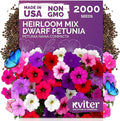KVITER 2,000 Mix Dwarf Petunia Seeds for Planting Flowers (Nana Compacta) — Mini Petunia Flower Seeds, Annual, Organic & Non GMO — Beds, Hanging Baskets, Containers, Outdoor & Indoor Garden