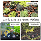 18lb 1/4" Small Pebbles Black for Plants,Potting,Succulents Aquarium Fish Tank Vases Decorative Garden Polished Gravel Rocks Stones