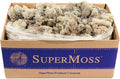 SuperMoss (21742 Reindeer Moss Preserved, Natural, 3lbs