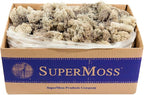 SuperMoss (21742 Reindeer Moss Preserved, Natural, 3lbs