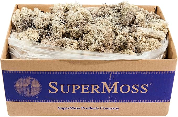 SuperMoss (21742 Reindeer Moss Preserved, Natural, 3lbs