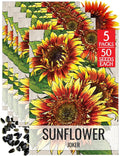 Seed Needs Joker Sunflower Seeds for Planting Sunflowers - Hybrid Flower Seed to Plant an Outdoor Home Grown Butterfly Garden (2 Packs)