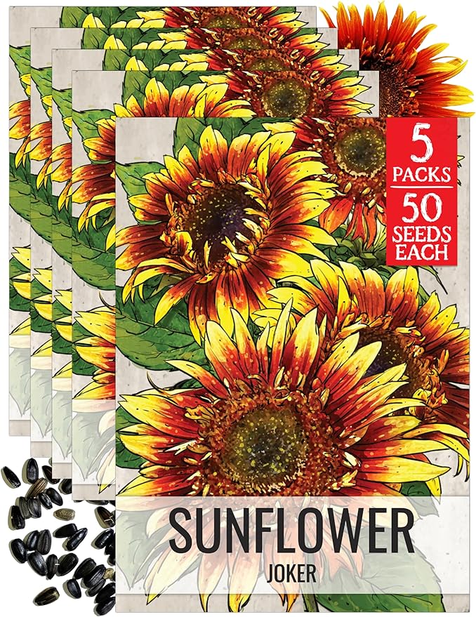 Seed Needs Joker Sunflower Seeds for Planting Sunflowers - Hybrid Flower Seed to Plant an Outdoor Home Grown Butterfly Garden (2 Packs)