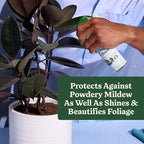 Miracle-Gro Indoor Potting Mix (6 qt.) and Plant Food (8 fl. oz.) for All Plant and Plant Care Leaf Protect & Shine (8 fl. oz.) - Bundle for Growing, Fertilizing, Protecting and Cleaning Houseplants