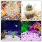 CJGQ 18lb Aquarium Gravel for Plants,1/5 Inch Natural Decorative River Rocks for Succulent and Cactus Landscaping, Natural Small Rocks for Fish Tanks, Vases & Terrariums