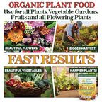 Organic Plant Food with Beneficial Microbes, Fast Acting Vegan Fertilizer for Vegetable Garden, Outdoor & Indoor Plant Fertilizer, Miracle Growth for Plants Concentrated Value 125GR Makes 30 gallons
