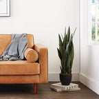 Nearly Natural 35in Artificial Snake Plant, Sansevieria Faux Greenery with Black Planter for Indoor Home Office Decor, Low Maintenance