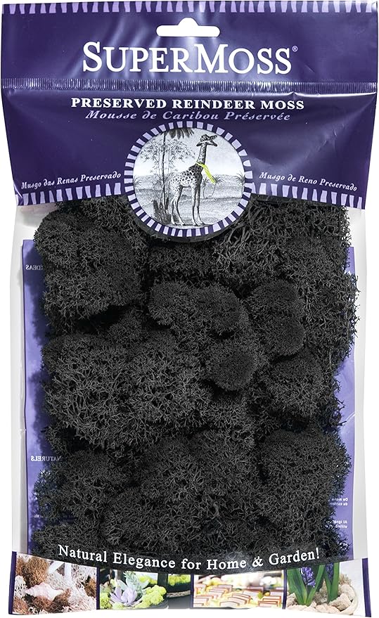 Super Moss (25123 Reindeer Moss Preserved, Black, 2oz