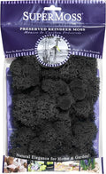 Super Moss (25123 Reindeer Moss Preserved, Black, 2oz