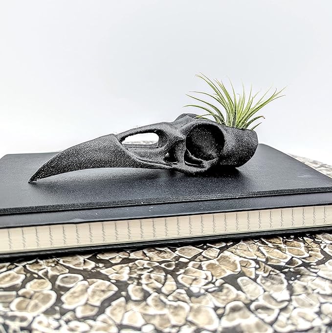 Raven Skull Air Plant Holder - Gothic Raven Air Planter - Bird Skull Witch Decor for Home - Crow Art Sculpture - Halloween Spooky Plant Pot