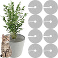 8Pcs Plant Pot Grid, Plant Pot Cover for Potted Plants, Pet Proof Plant Cover for Indoor & Outdoor Garden Plants, Cuttable Plant Protector from Animals, Cats, Dogs and Squirrels (15.7in)