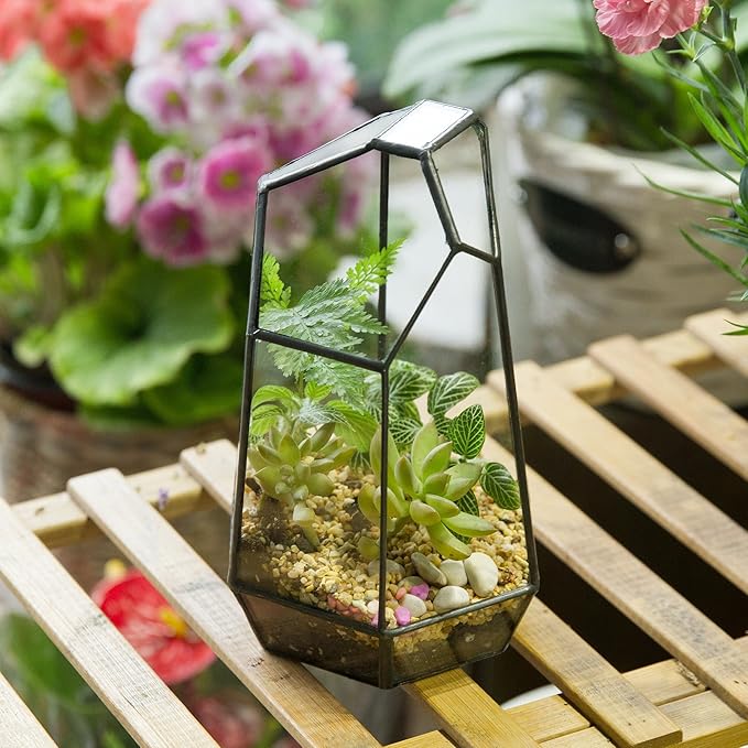 NCYP Small No Door Glass Geometric Terrarium - 4.9 x 3.9 x 7.4 Inches Irregular Clear Terrarium Pot for Mini Succulents, Small Cactus, Indoor Garden Tabletop Decoration (No Plants)