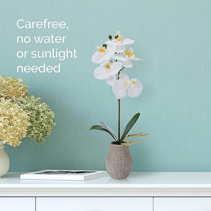Mikasa Artificial Orchid in Pot, Real Touch Phalaenopsis Orchid, Embossed Weave Cement Pot, 16-Inch Single Branch, White/Yellow