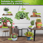 DUSPRO Succulents Soil Potting Mix – 7 in 1 Ingredients Well-Draining, Nutrient-Rich Cactus Potting Soil for Succulents and Cacti, Indoor & Outdoor Use, Ready to Use, Supports Healthy Root Growth, 8QT