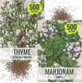 Seed Needs Sweet Marjoram & Thyme Seeds for Planting Fresh Kitchen Herbs - Non-GMO Heirloom & Untreated Perennial Herb Seed to Plant a Culinary Garden Indoors or Outdoors (2 Pack Duo)