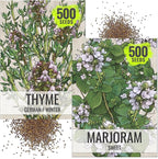 Seed Needs Sweet Marjoram & Thyme Seeds for Planting Fresh Kitchen Herbs - Non-GMO Heirloom & Untreated Perennial Herb Seed to Plant a Culinary Garden Indoors or Outdoors (2 Pack Duo)