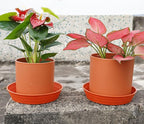 LWALRS Plant Saucer 14 Inch 2 Pack 6 8 10 12 14 16 18 20 25, Plastic Plant Trays for Pots，Extra-Deep Plant Water Dray Tray, Bird Bath Bowl, Heavy Flower Plant Saucers Indoors and Outdoor No Holes