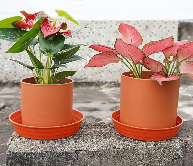 LWALRS Plant Saucer 14 Inch 2 Pack 6 8 10 12 14 16 18 20 25, Plastic Plant Trays for Pots，Extra-Deep Plant Water Dray Tray, Bird Bath Bowl, Heavy Flower Plant Saucers Indoors and Outdoor No Holes