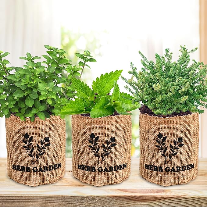 Indoor Herb Garden Starter Kit, Including A Complete Gardening Tools for Women Parents Gift