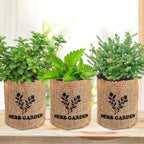 Indoor Herb Garden Starter Kit, Including A Complete Gardening Tools for Women Parents Gift