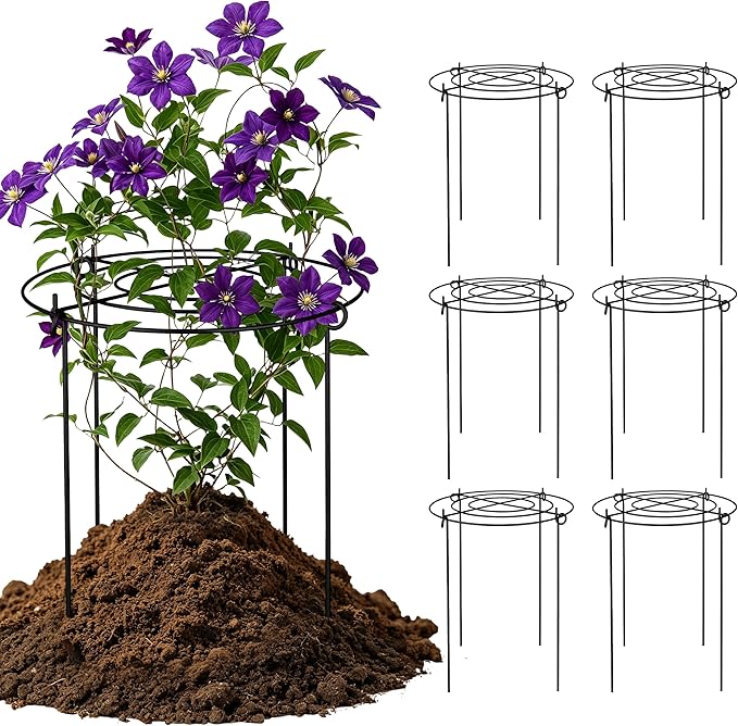 6 Pack Peony Cages and Supports, 12'' x 20'' Metal Removable Grid Flower Support Cage Set, 4-Leg Outdoor Plant Stake for Garden Peonies Tomato Hydrangea Strawberry (Black)