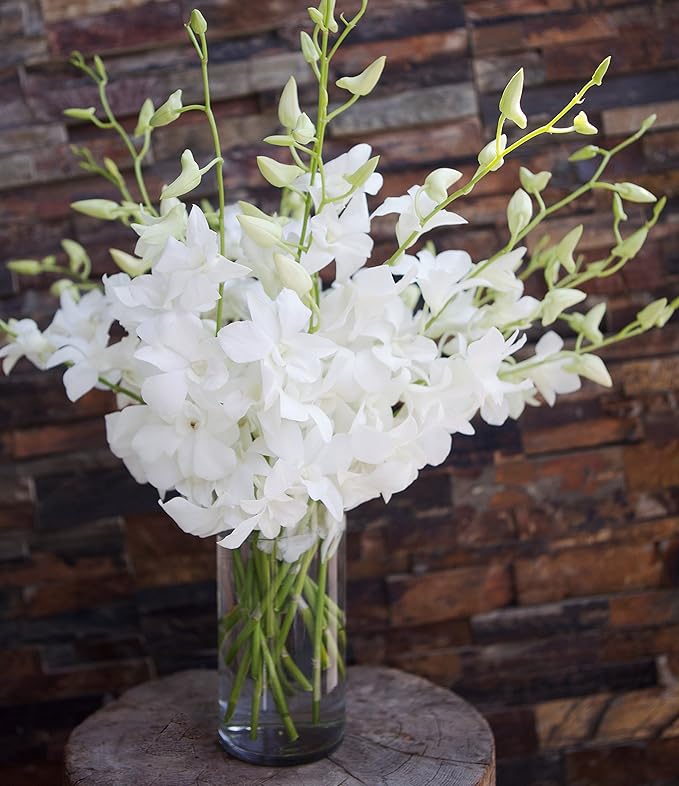 KaBloom - Exotic Perla White Orchid Bouquet of 20 Fresh White Dendrobium Orchids with Vase - Fresh Flowers for Birthday, Valentine's & Mother's Day
