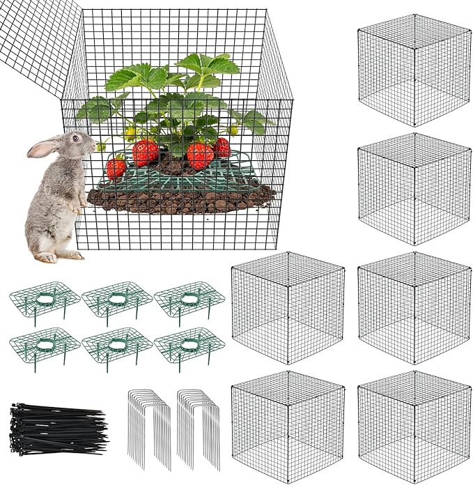 6 Set Upgraded Strawberry Protection Supports with Wire Plant Protectors from Animal Sturdy Metal Wire Plant Cages Mesh Plant Cover Strawberry Growing Racks Planting Stand for Garden,12 Inch Square