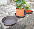 Plant Saucer 8 Inch 4 Pack 6 8 10 12 14 16 18 20 25, Plastic Plant Trays for Pots，Extra-Deep Plant Water Dray Tray, Bird Bath Bowl, Heavy Flower Plant saucers Indoors and Outdoor No Holes 8in-4 brown