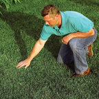 EZ Straw Seeding Mulch with Tack - Biodegradable Processed Straw, 1 cu. ft. Bale (Covers 250 sq. ft.)