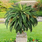 MARTINE MALL 2Pcs 48''/ 88 Leaves XXL Large Fake Ferns Artificial Ferns for Outdoors, UV Resistant Faux Boston Fern for Outdoor Planter Realistic Hanging Artificial Fake Plants for Porch Patio