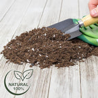 Money Tree Soil (4 Quarts), Potting Mix for Planting/Repotting Pachira Aquatica, All-Natural Custom Soil Blend