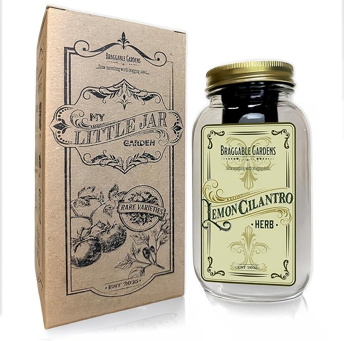 Lemon Cilantro Indoor Herb Garden Kit – Mason Jar Hydroponic Grow Kit – Windowsill Countertop Herb Planter – Grow Fresh Cilantro Indoors