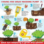 Live Succulents Plants Live Red Yucca Plant, Outdoor Plants Live Yucca Plants, Outdoor Yucca Plants Live Plants, Succulent Plants Live Outdoor Plants, Succulents Live Accent Plant by Plants for Pets
