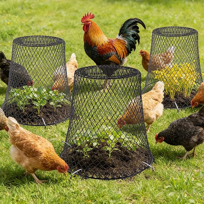 Cyrico 12 Pcs Plant Protectors from Animals, Chicken Wire Cloche Kit with Stakes and Labels, Metal Mesh Garden Cloches Keeps Out Rabbits, Squirrels and Birds for Seedlings Vegetables Flowers Outdoor
