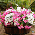 Artificial Flowers for Outdoor, UV Resistant Fake Silk Pansies Flowers, Realistic Faux Plants for Outside Indoor Porch Patio Window Box Planter Home Decor (16, White Pink)