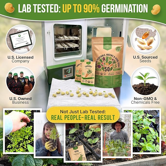 50 Winter Vegetable Garden Seeds Variety Pack - 43,450+ Non-GMO Heirloom Seeds for Outdoors & Indoor Home Gardening, Including Kohlrabi, Lettuce, Radish, Onion, Choy, Spinach, Cauliflower, Collards