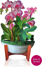 Freshcut Paper Pop Up Cards, Orchid Oasis, 12 Inch Life Sized Forever Flower Bouquet 3D Popup Greeting Card, Anniversary Card, Mother's Day, Blank Notecard & Envelope