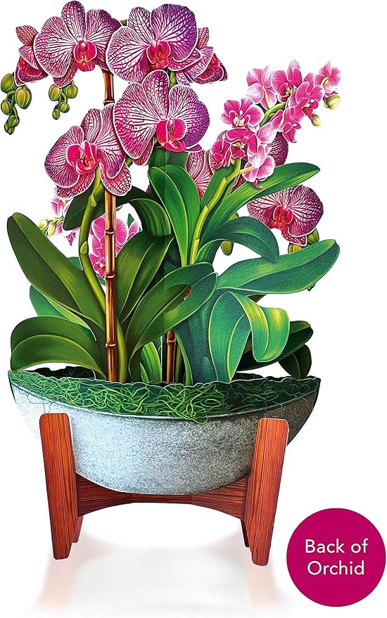 Freshcut Paper Pop Up Cards, Orchid Oasis, 12 Inch Life Sized Forever Flower Bouquet 3D Popup Greeting Card, Anniversary Card, Mother's Day, Blank Notecard & Envelope