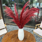 Red Natural Pampas Grass for Vase Decor,8pcs Dried Pampas Grass, Large Pompas Floral, Elegant Feather Flowers for Wedding Decorations, Living Room Decor (Natural Red, 8pcs 31.5"(80cm))