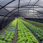 winemana Black Shade Cloth 70%, 30x50 FT Mesh Tarp - Garden Shade for Greenhouse, Patio, Vegetables, Plants Cover and Chicken Coops, Sunshade Net for Outdoor Protection with Reinforced Grommets