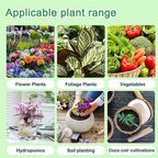 Hydroponics Nutrients (1000ml in Total), A&B Plant Food for Hydroponics Growing System and Potted Houseplants, Plant Fertilizer Supplies