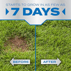 Scotts PatchMaster Lawn Repair Mix Sun + Shade Mix - Combination Grass Seed, Grass Fertilizer, and Mulch, Lawn Patch Repair, 10 lb.
