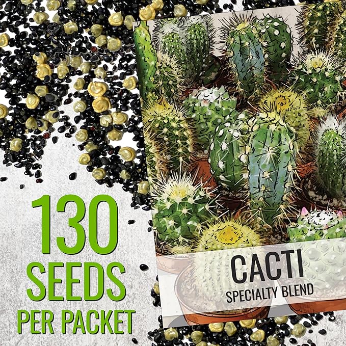 Seed Needs, Mixed Cacti/Cactus Seeds - 130 Seeds for Planting - Great Plants for Indoor Office Spaces, Easy to Grow (1 Pack)